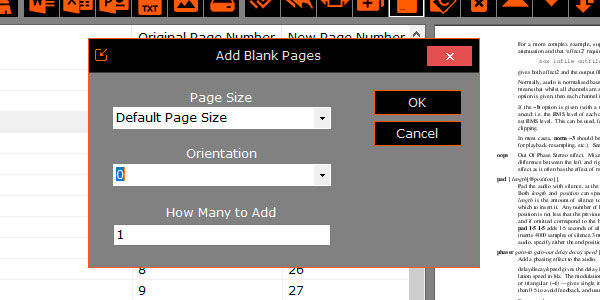 Options of Blank Pages